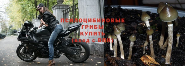 прущие крисы Волосово