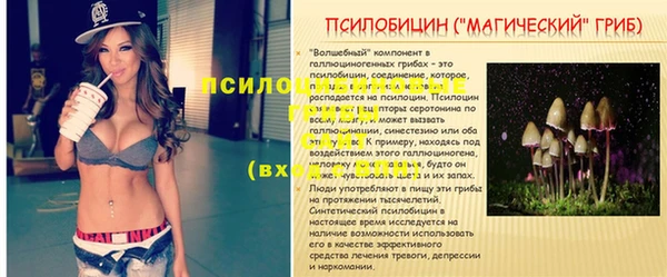 прущие крисы Волосово