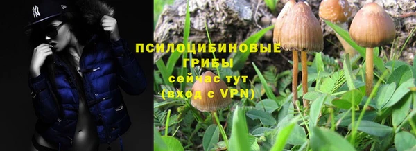 прущие крисы Волосово